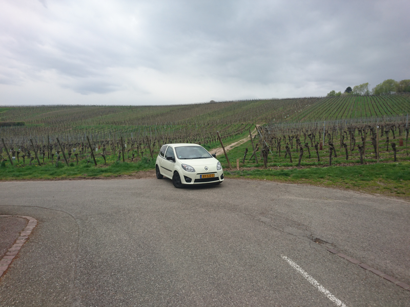 Car in the entry of a Vinyard